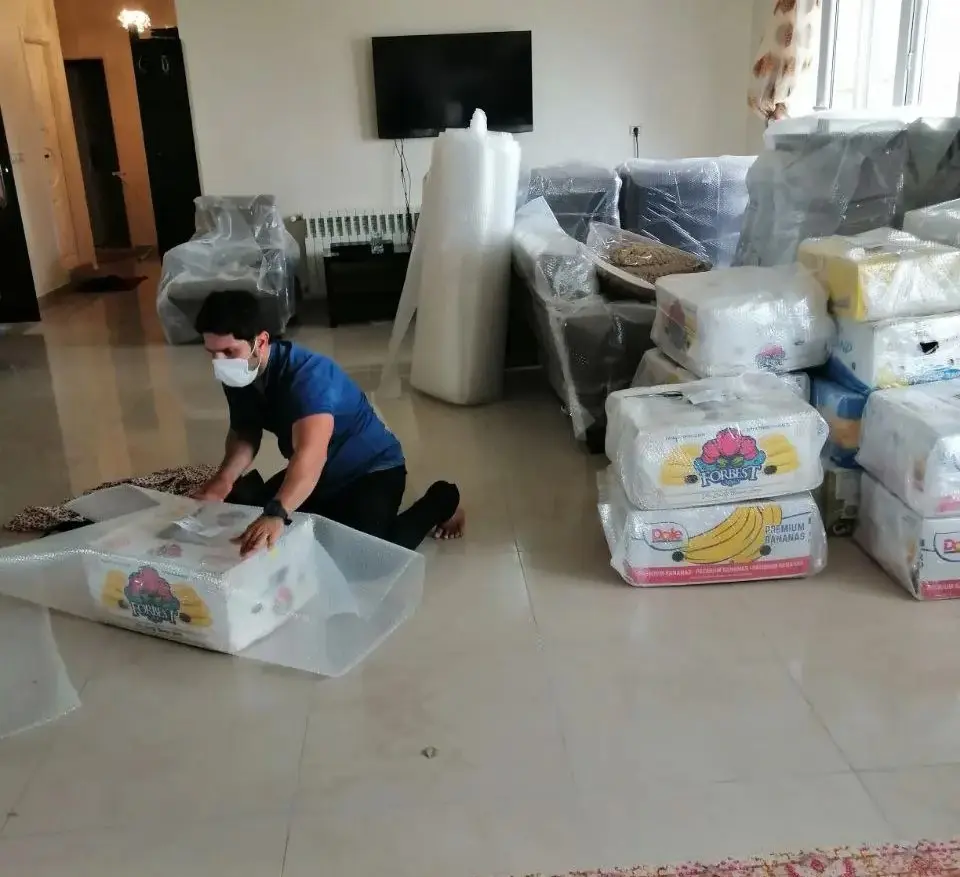 سرویسکار متخصص